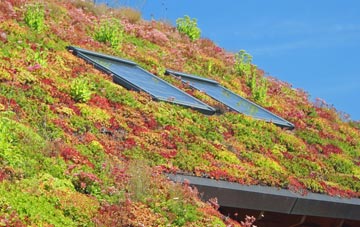 Camusterrach living roof systems